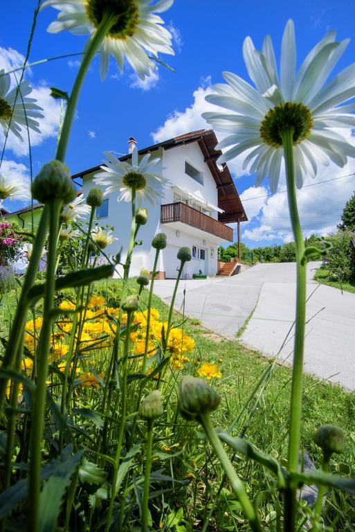Apartment Bastaja Slunj Dış mekan fotoğraf